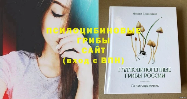 герыч Карпинск