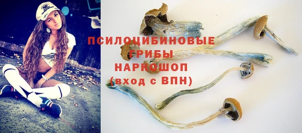 ECSTASY Киреевск
