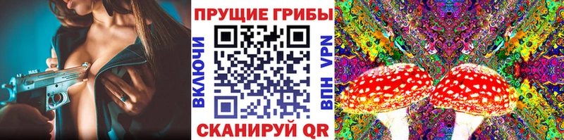 Псилоцибиновые грибы MAGIC MUSHROOMS  дарнет шоп  Михайловск 